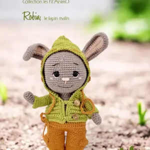 LIVRE ROBIN, le lapin malin !