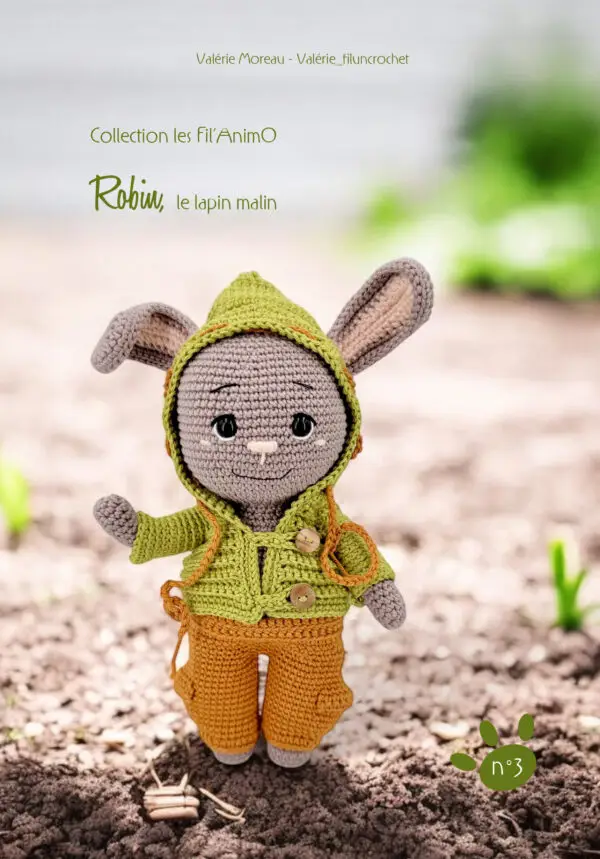 LIVRE ROBIN, le lapin malin !