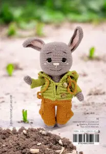 LIVRE ROBIN, le lapin malin ! – Image 2